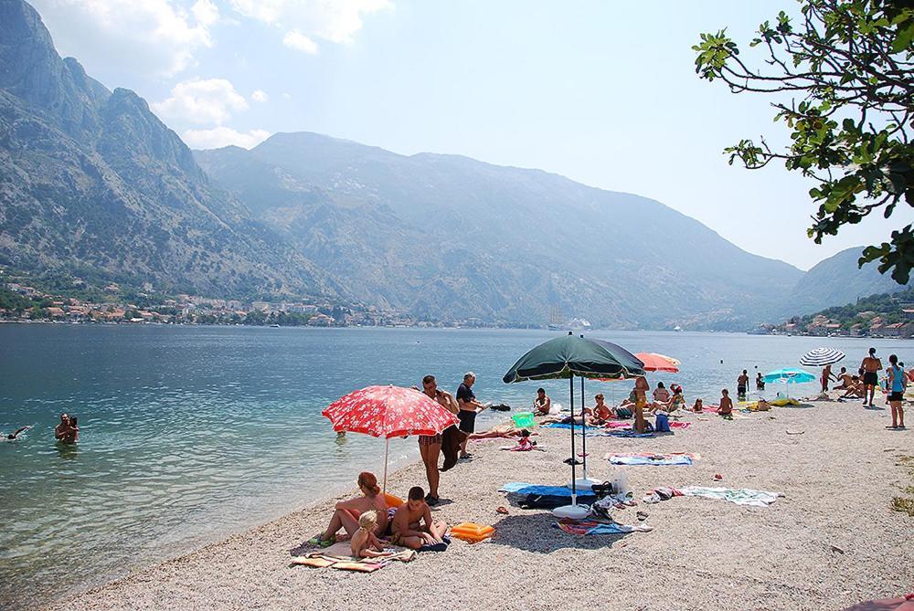 Apartments Darko Kitic Kotor Kültér fotó